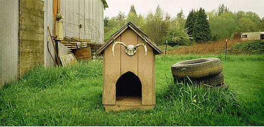 《生化危机4：重制版》艾达王DLC新截图 姐姐彪悍